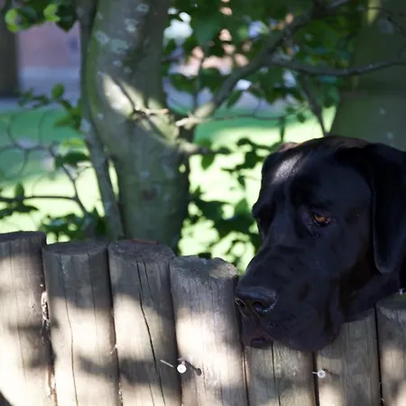 Appartamento Hof Schlossblick