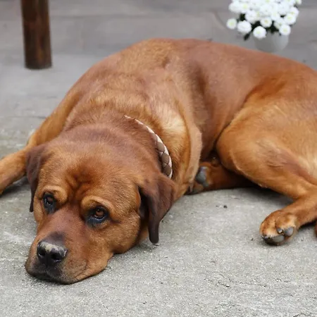 Hof Schlossblick Appartamento Boßdorf