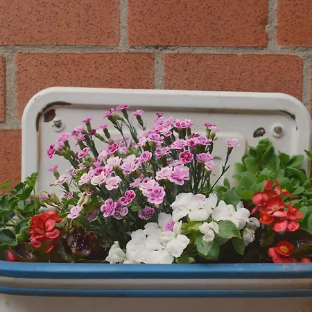 Appartamento Hof Schlossblick