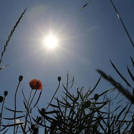 Hof Schlossblick Boßdorf